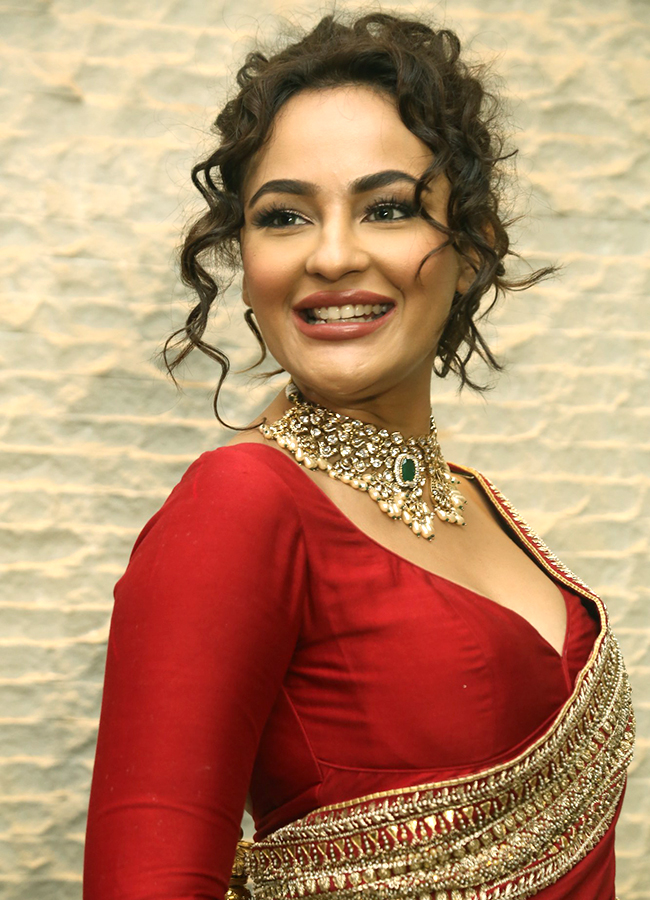 Manamey_20Movie_20Pre_20Release_20Event-11.jpg 11