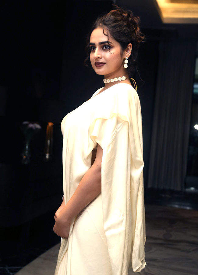 Manamey_20Movie_20Pre_20Release_20Event-13.jpg 13