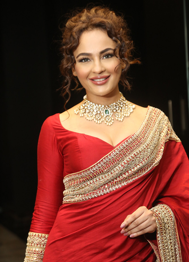 Manamey_20Movie_20Pre_20Release_20Event-2.jpg 2