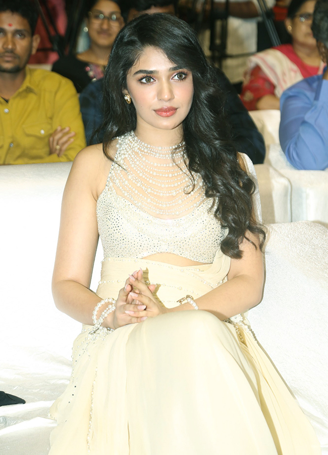 Manamey_20Movie_20Pre_20Release_20Event-3.jpg 3