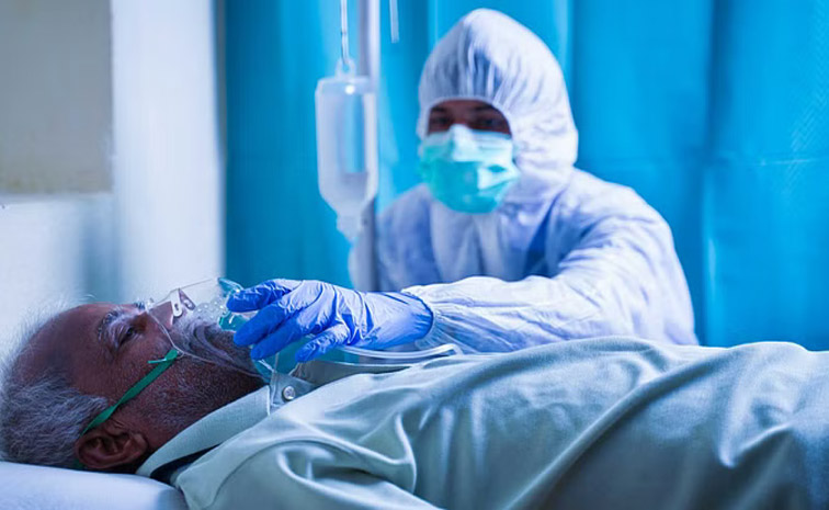 bird-flu_1.jpg