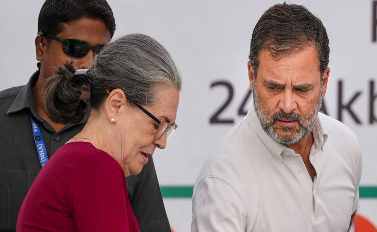 rahul_3.jpg
