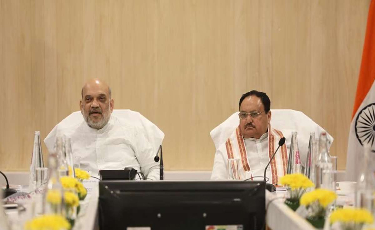 nadda_2C-amit-shahhaha.jpg