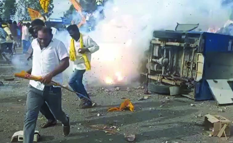 tdp11.jpg
