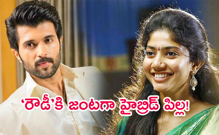 Sai-Pallavi.jpg