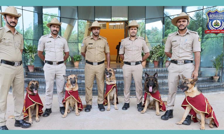 Sniffer_Bengaluru_Raveparty.jpg