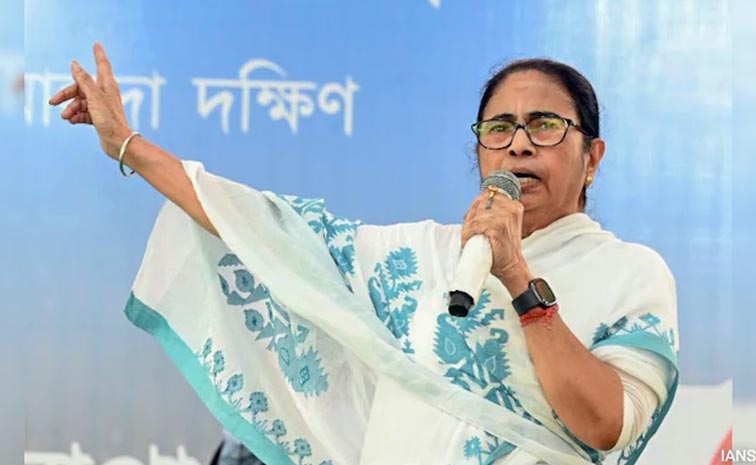 mamata_0.jpg