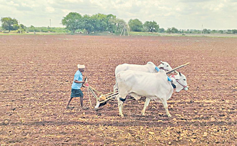 farmer_1.jpg