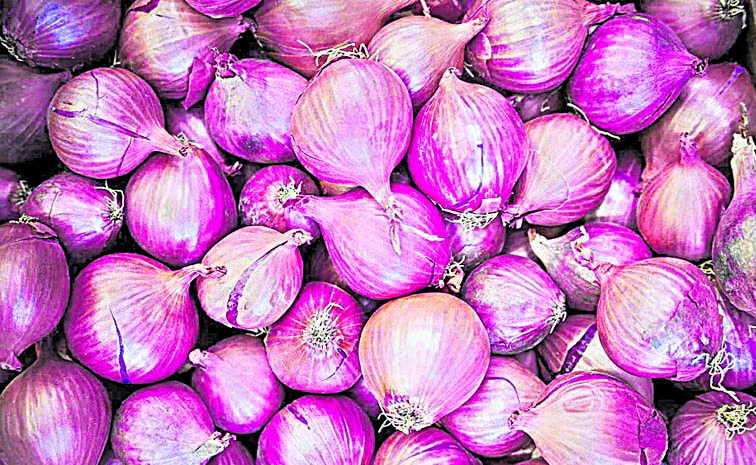 ONIONS.jpg