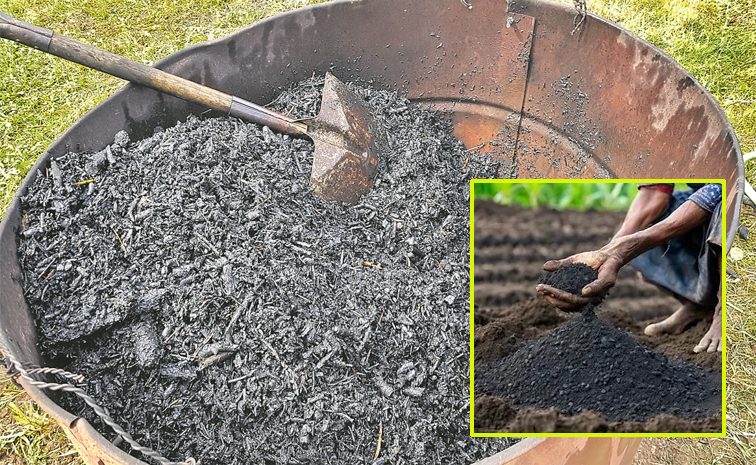 biochar-main.jpg