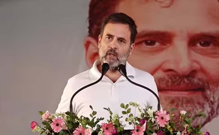 rahulgandhi_1.jpg