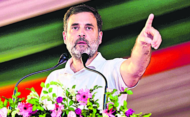 rahul_3.jpg