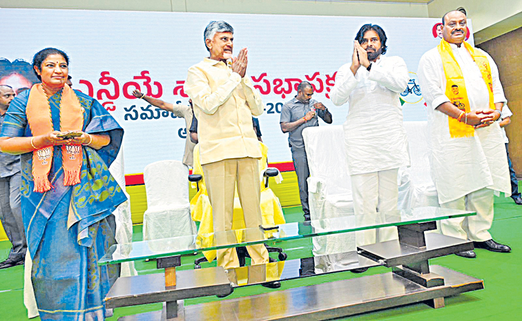 tdp_3.jpg