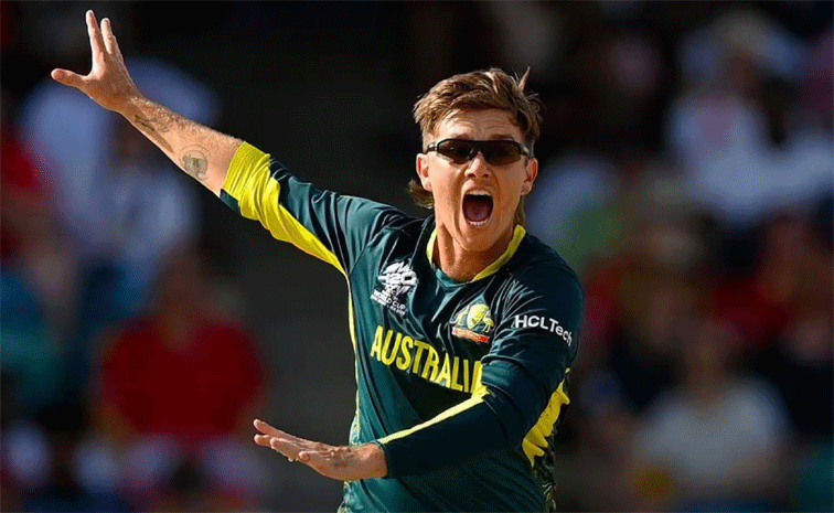 zampa.gif
