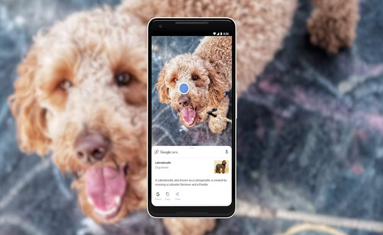 google-lens.jpg