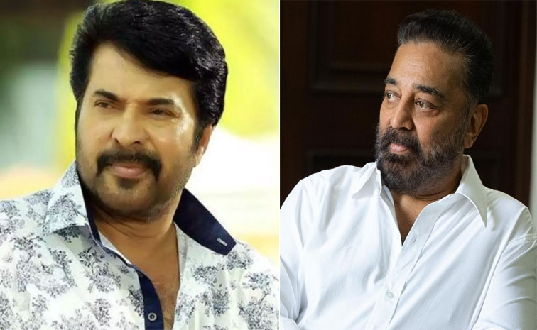 kamal.jpg