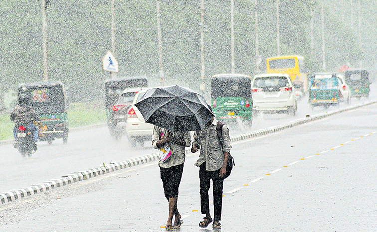 rain.jpg