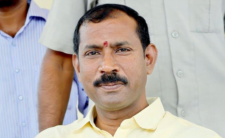 Palla-Srinivasa-Rao2.jpg