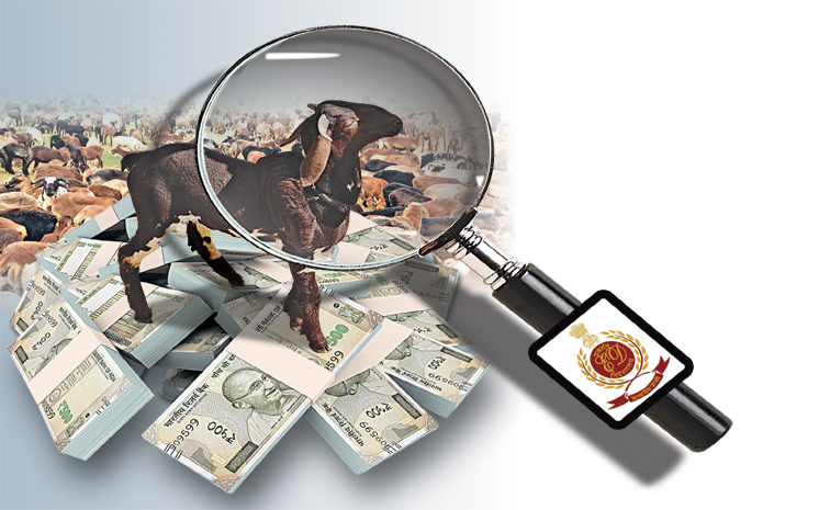 SHEEP-MONEY-LAUNDERING.jpg
