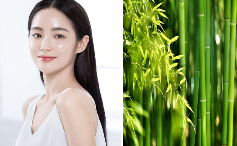 bamboo.jpg