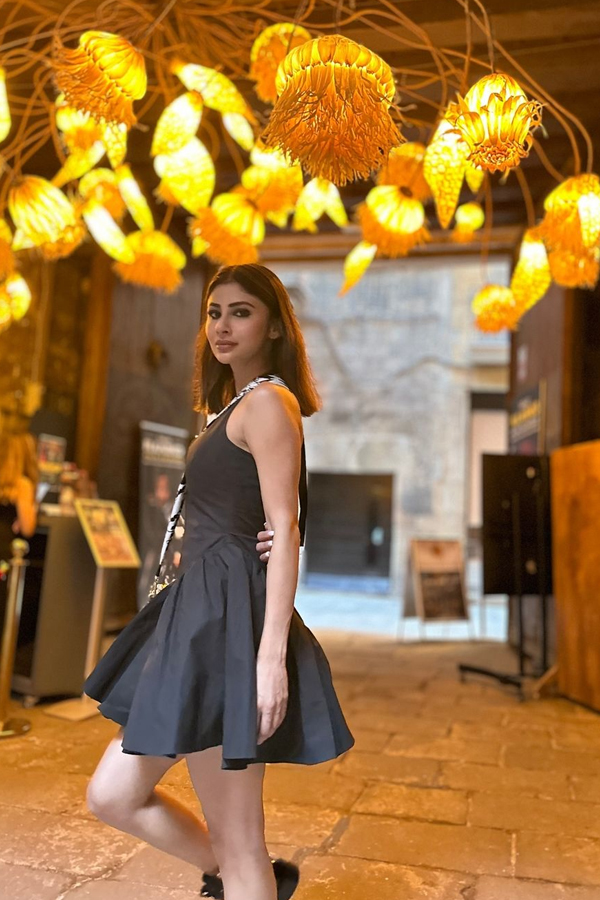 Mouni-Roy-10_0.jpg 11
