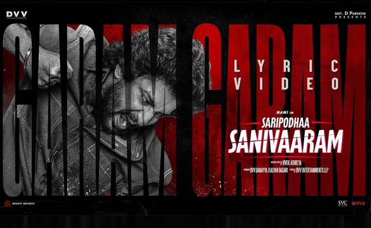 SARIPODHAA-SANIVAARAM.jpg