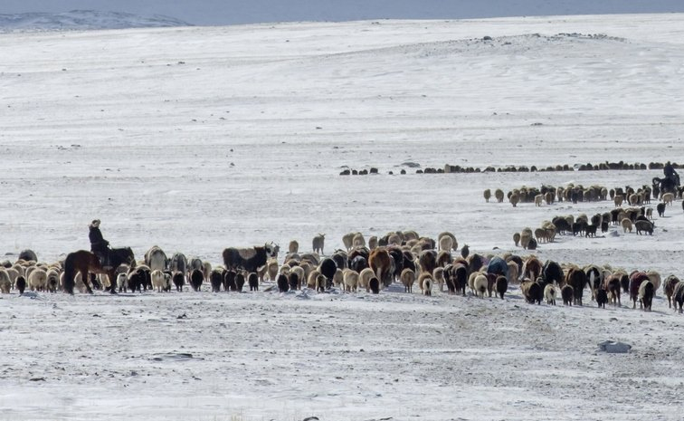 mongolia.jpg