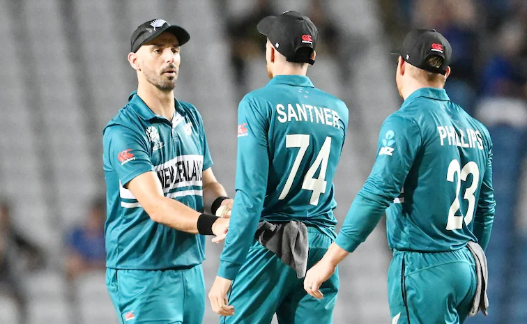 nz1.jpg