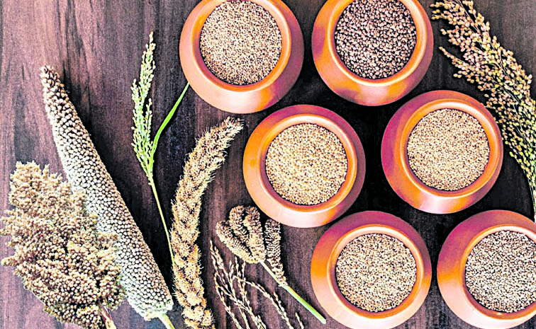 MILLETS-02.jpg