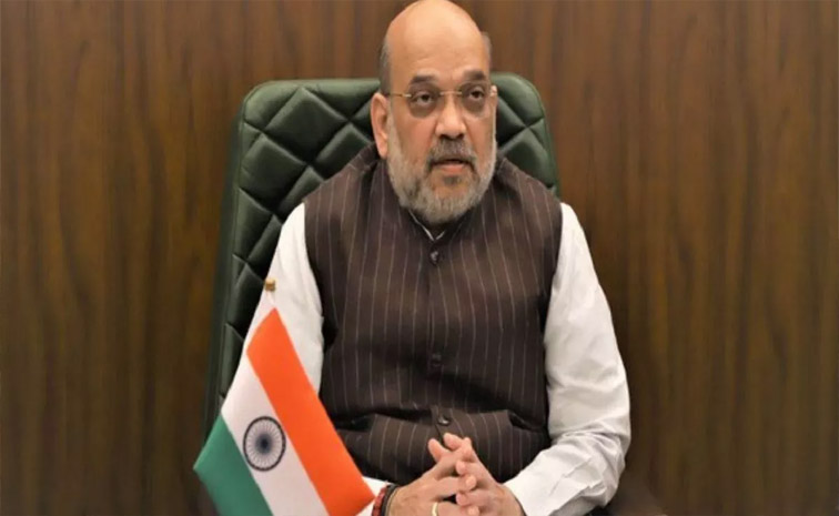 amit-shah_0.jpg