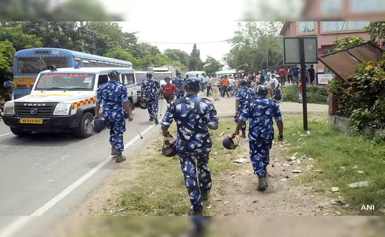 bengal_0.jpg