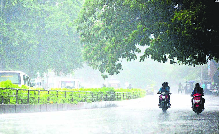 RAIN_207.jpg