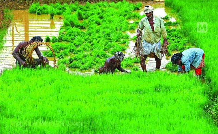 agriculture.jpg