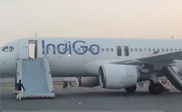 indigo.jpg