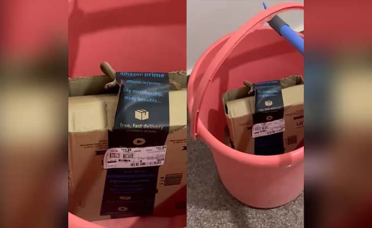 Amazon_20Package.jpg