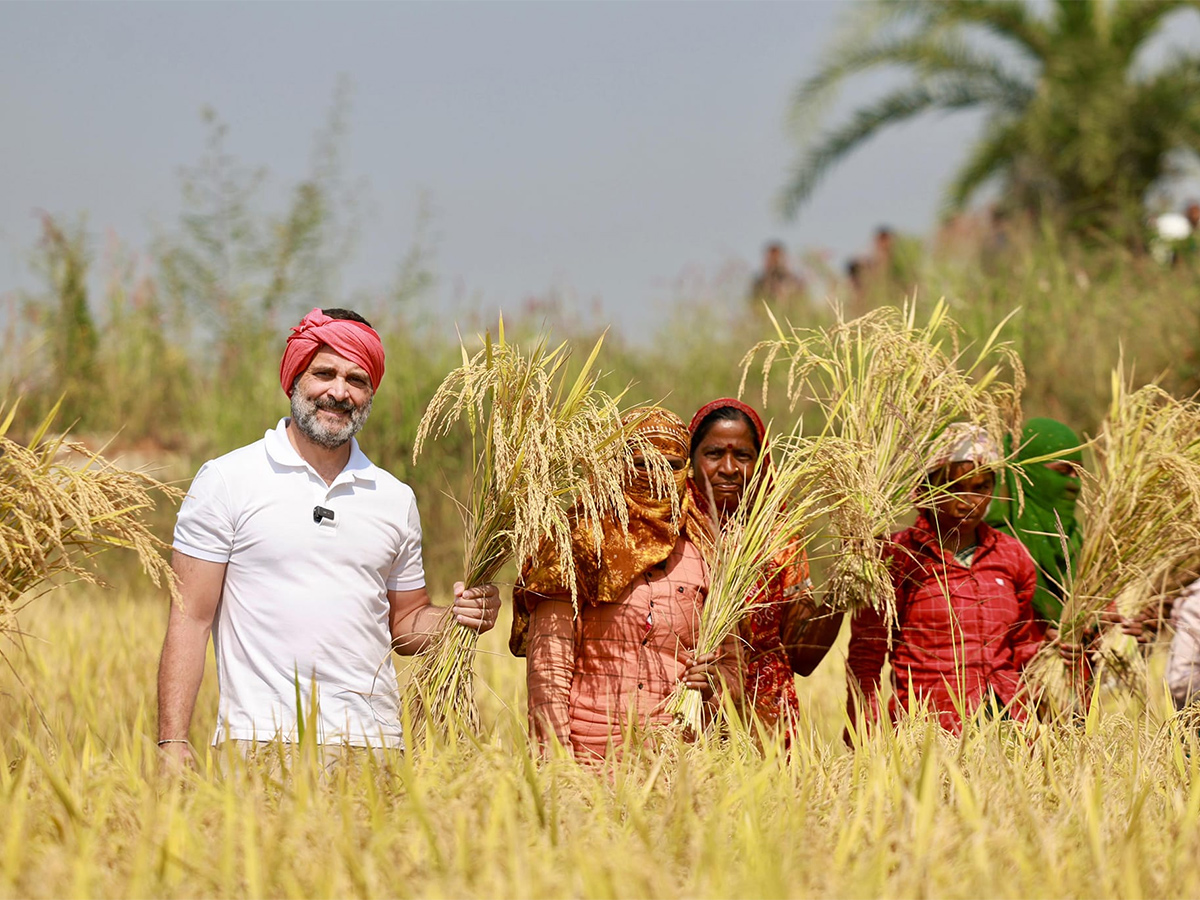 Happy_20Birthday_20RahulGandhi_20RaGa_20Transformation_20In_20Indian_20Politics_20Photos__20_2835_29.jpg 34