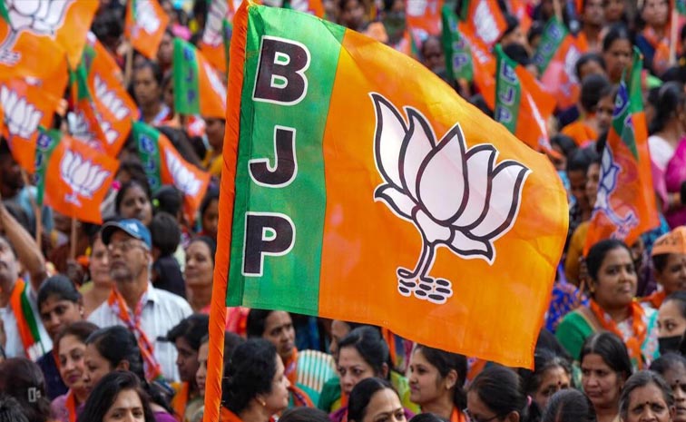bjp_4.jpg