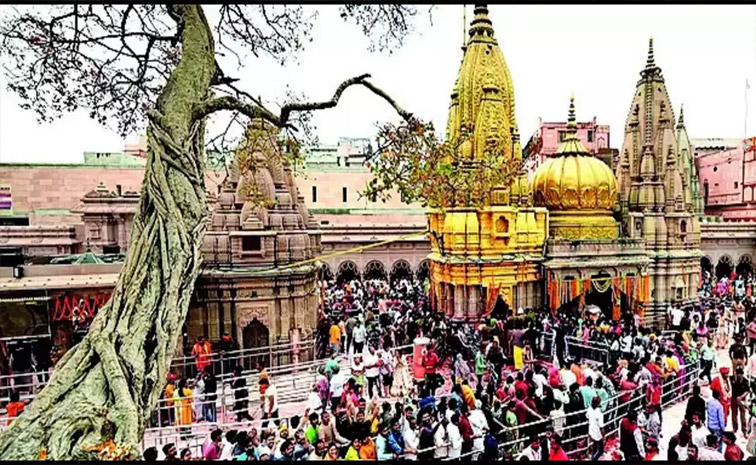 kashi.jpg