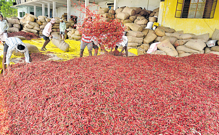 mirchi.jpg