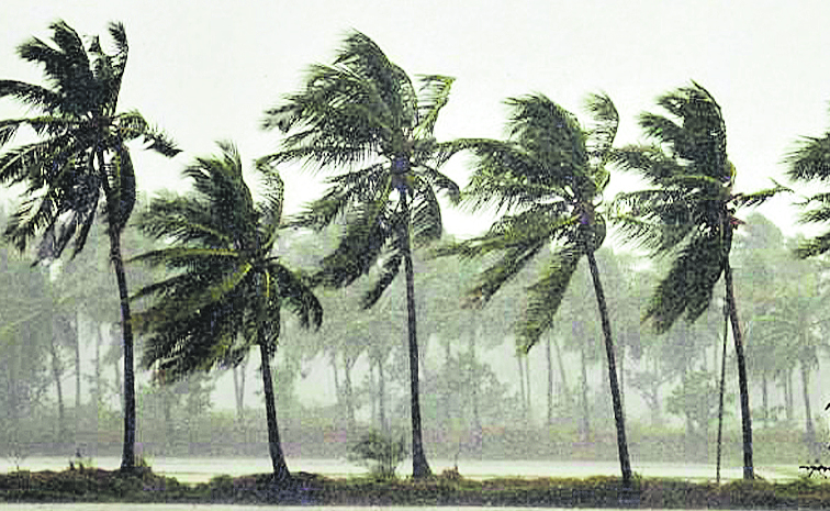 rains.jpg