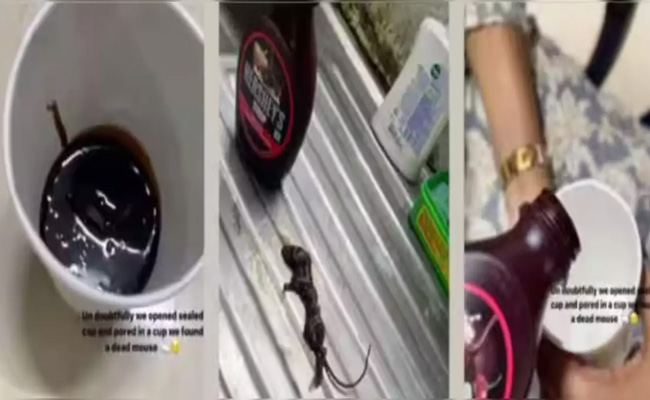 rat.jpg