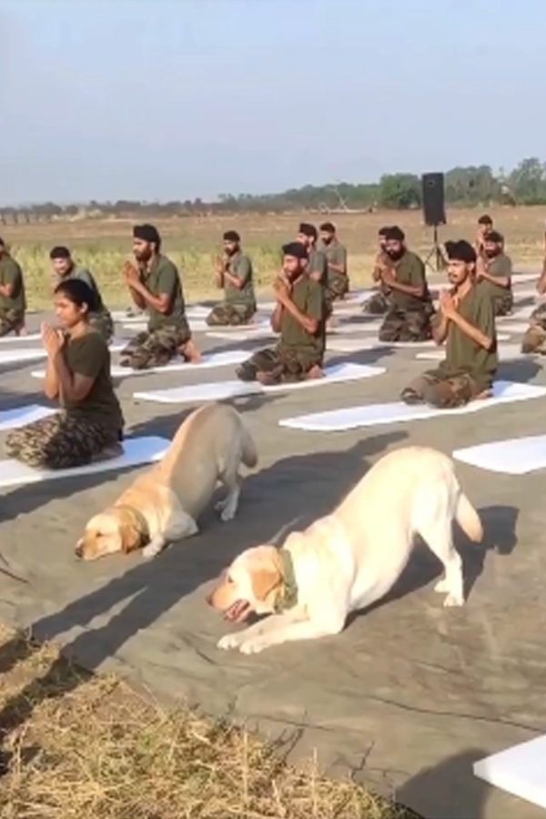 Army-Officials-Yoga-Day-4.jpg 24