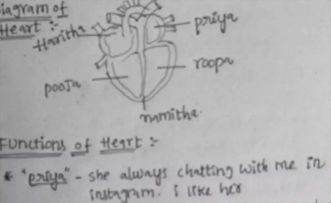 heart.jpg