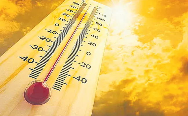 summer_2.jpg