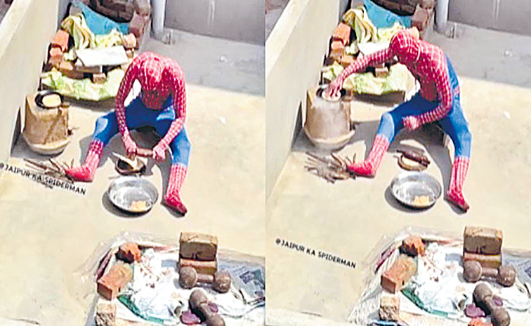 spider-1.jpg