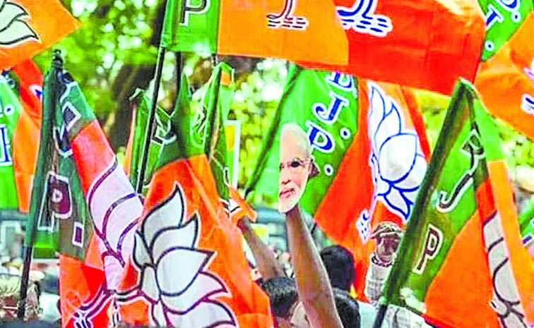 BJP_20PARTY_20FLAGS_202.jpg