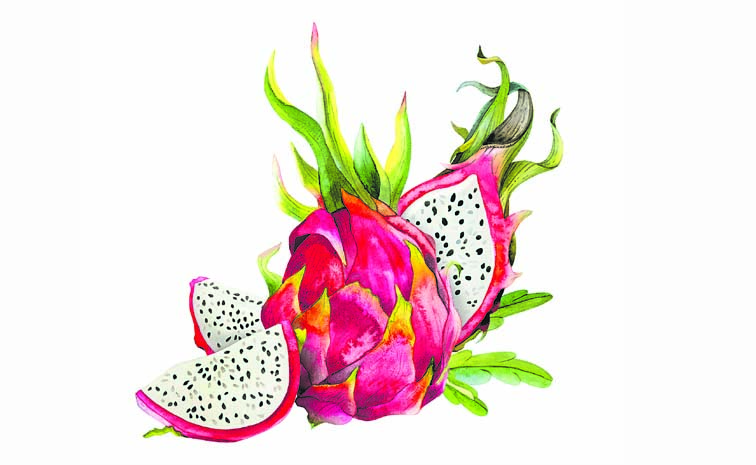 DRAGON_20FRUIT-1491195178.jpg