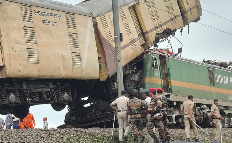 bengal-train.jpg