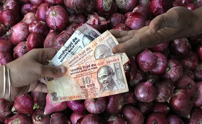 onion01.jpg