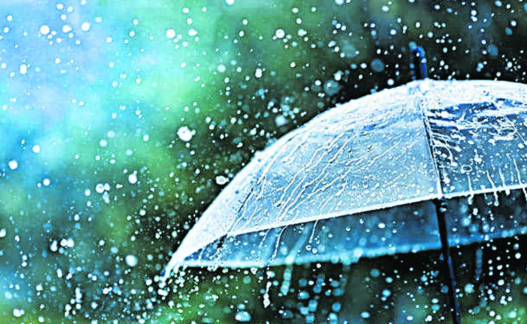 RAINS_1.jpg